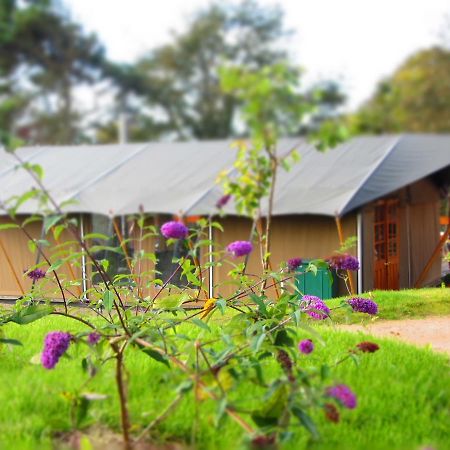Durrell Wildlife Camp Hotel Trinity Eksteriør billede
