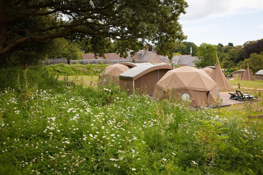 Durrell Wildlife Camp Hotel Trinity Værelse billede