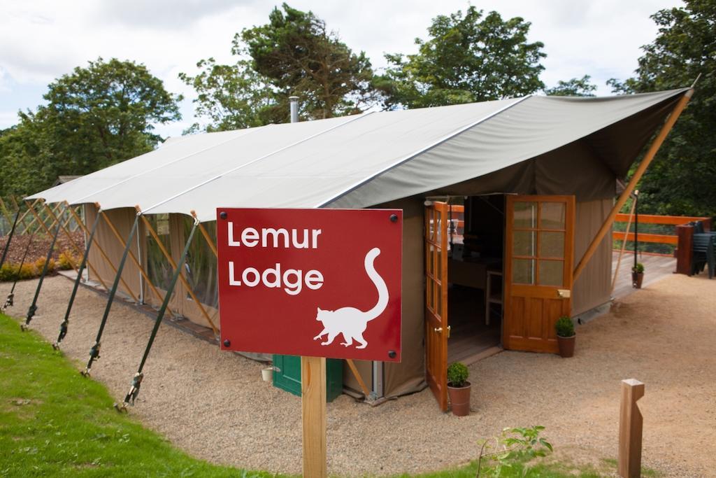 Durrell Wildlife Camp Hotel Trinity Eksteriør billede