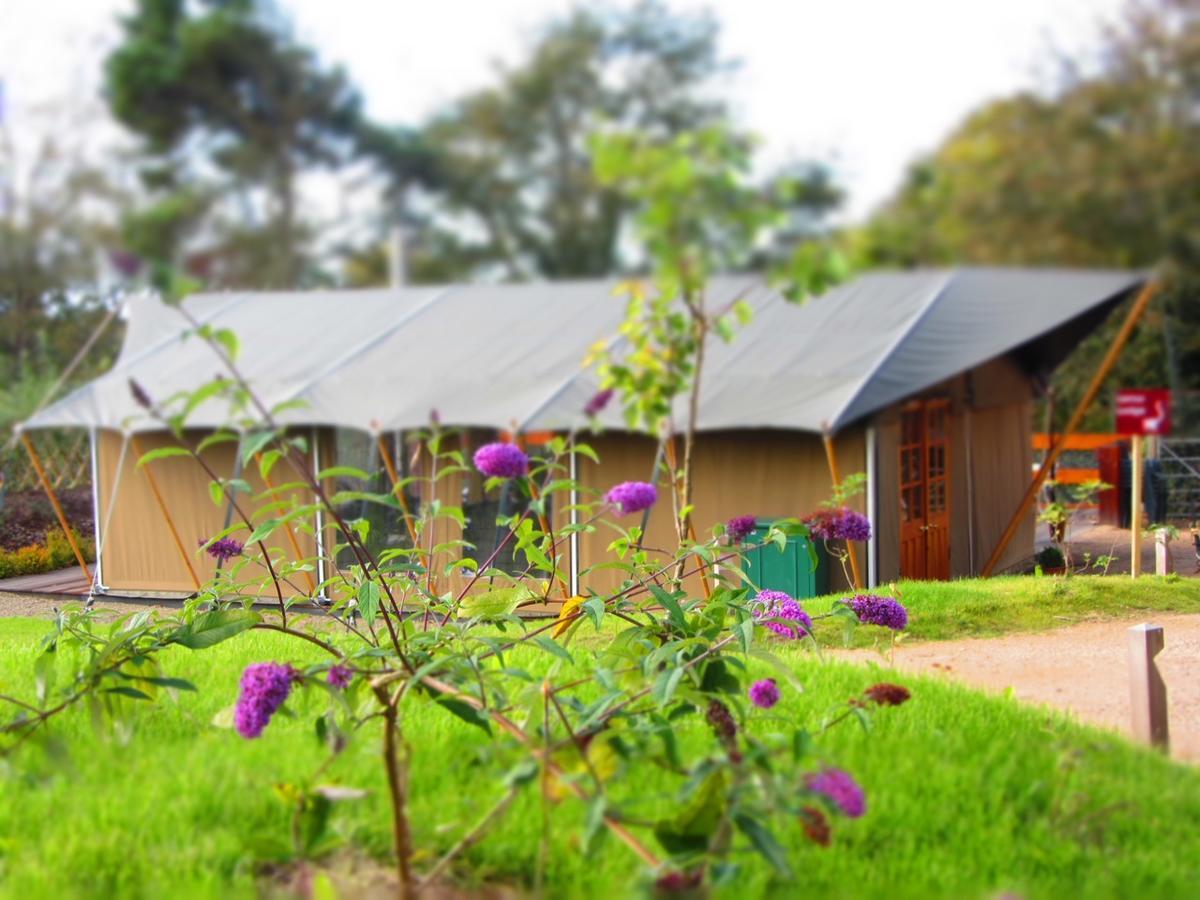 Durrell Wildlife Camp Hotel Trinity Eksteriør billede